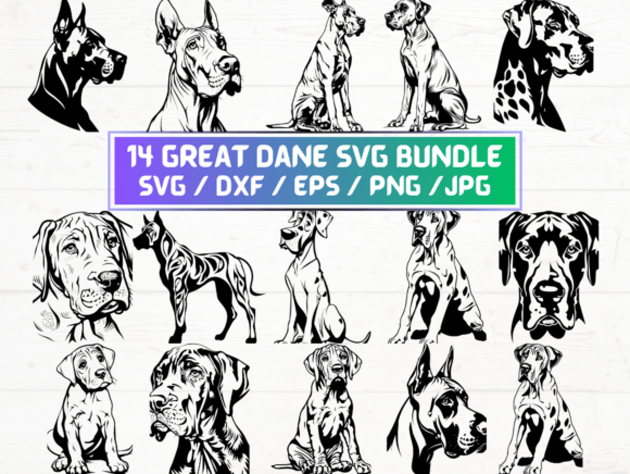 14 Great Dane SVG Bundle: Graphics for Crafts & Local Branding