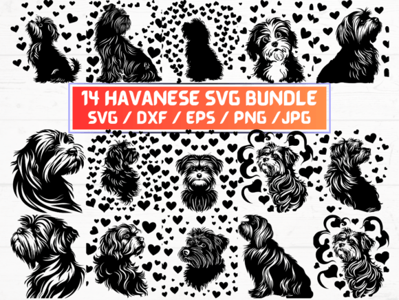 14 Havanese Svg File for Graphics and Crafts