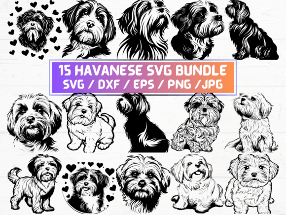 15 Havanese SVG Bundle: Graphics for Crafts & Local Branding