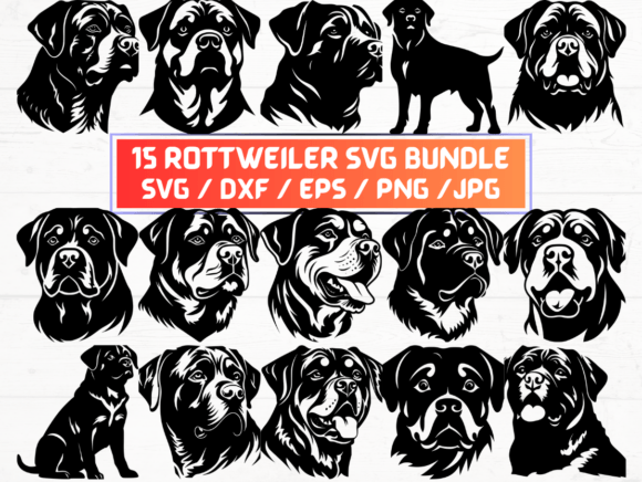 15 Rottweiler SVG Bundle: Graphics for Crafts & Local Branding