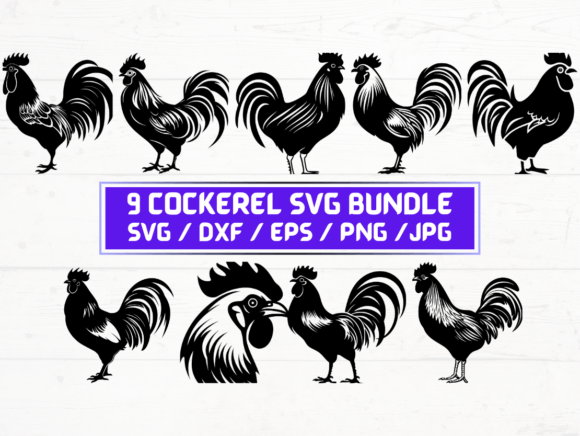 9 Cockerel SVG: Graphics for Crafts & Brand Storytelling
