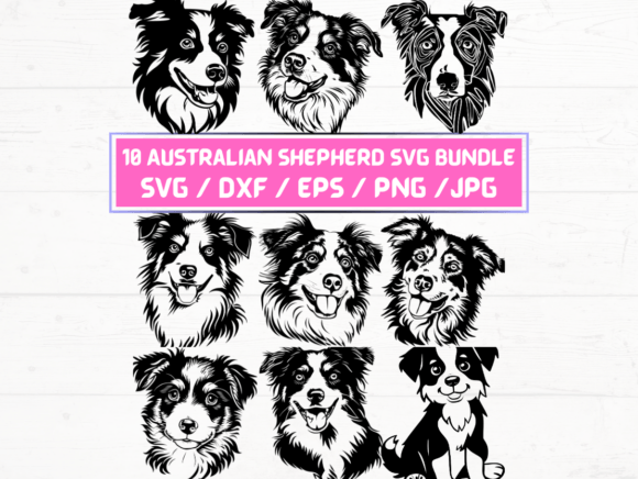 Australian Shepherd Dog Svg Graphics for Crafts