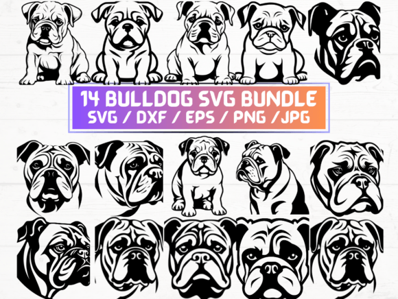 Bulldog Svg Graphics for Crafts