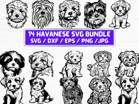 Havanese Dog Graphics for Crafts & Local Branding