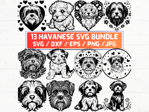 Havanese Dog SVG File: A Designer’s Real-World Embroidery Review