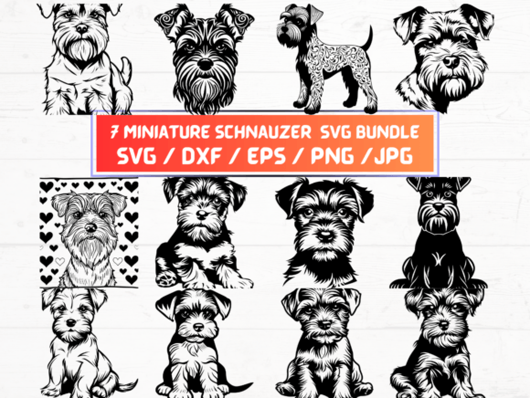 Miniature Schnauzer Dog SVG Bundle for Crafts & Graphics