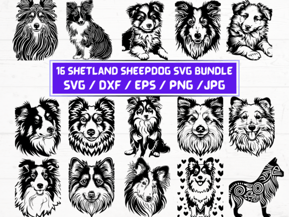 Shetland Sheepdog SVG File Review