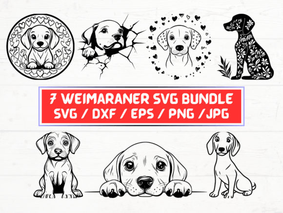 Weimaraner Dog SVG: Graphics for Crafts & Creative Branding