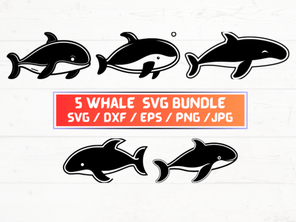 Whale Embroidery Design Review